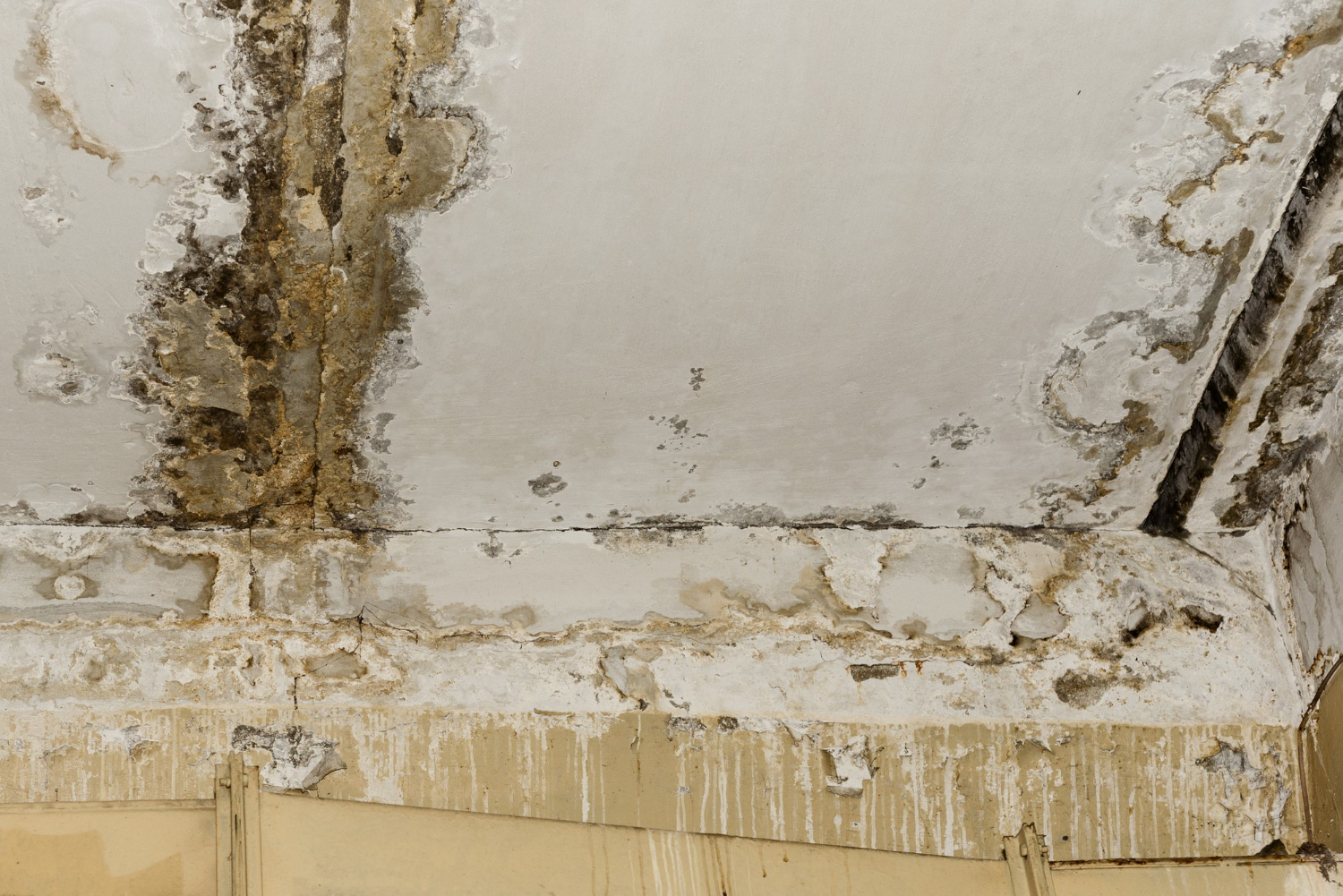 Comprehensive Guide to Safe Asbestos Removal from Older Homes