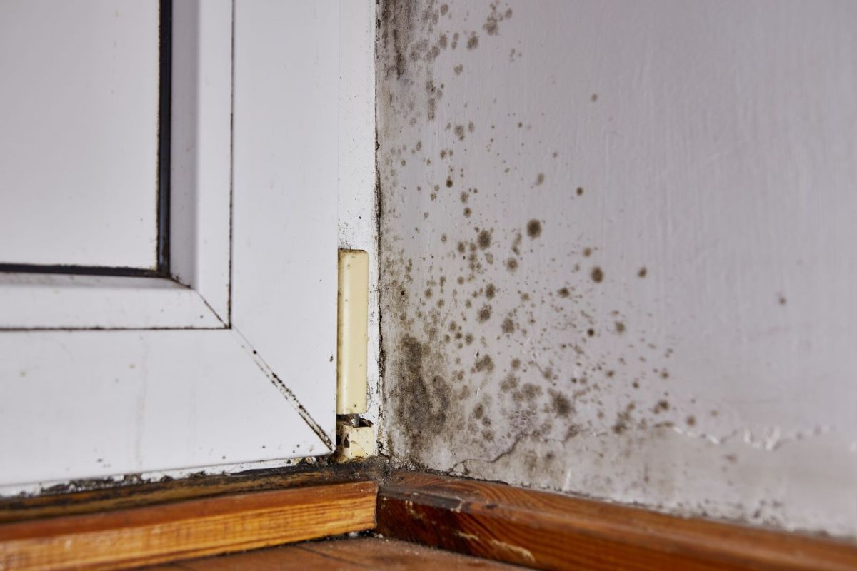 The Long-Term Effects of Water Damage on Indoor Air Quality