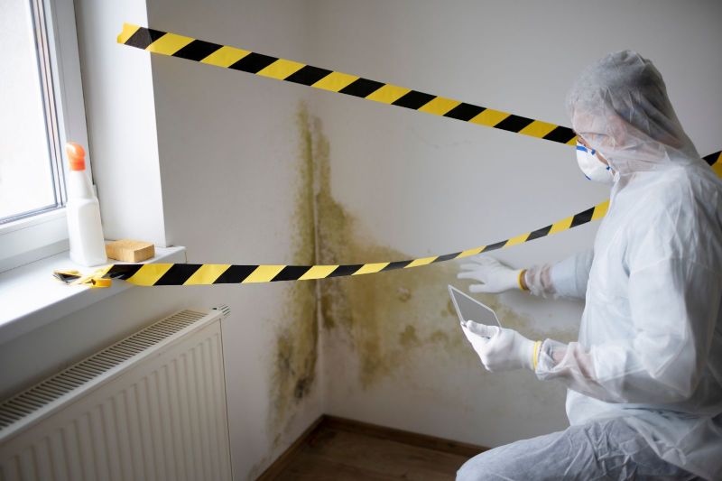 Mold Prevention and Maintenance for Homeowners