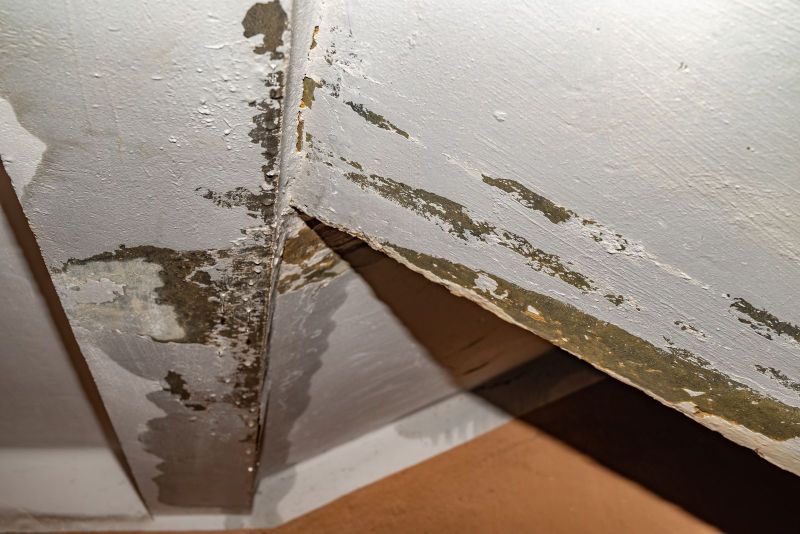 Water Damage Woes: How to Get Your Home Back on Track