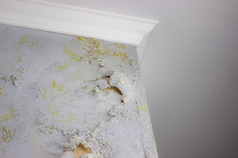 8 Effective Ways to Prevent Mold Growth Inside Your Home This Spring