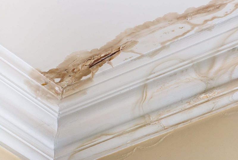 The Ultimate Guide to Water Damage Restoration: Expert Tips and Insights