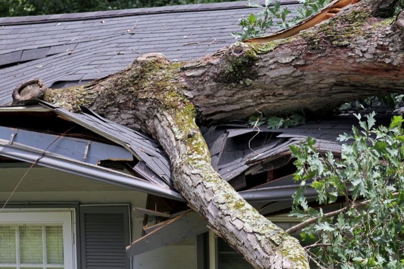 Storms Damage on your home.