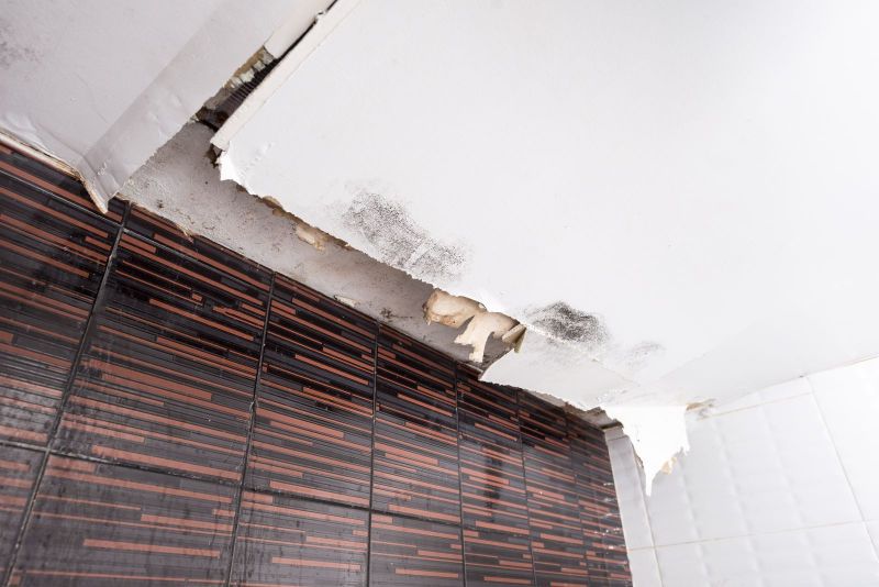 The Dangers of Mold Damage: Why Immediate Restoration is Crucial