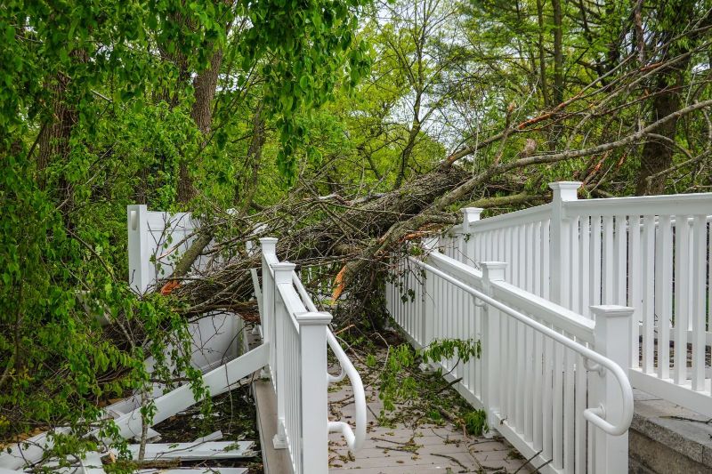 Dealing with Storm Damage: A Guide from TruRenu.