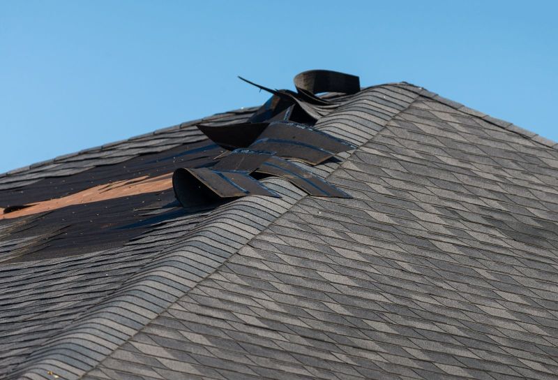 Understanding Wind Damage: What It Is and What You Can Do About It.